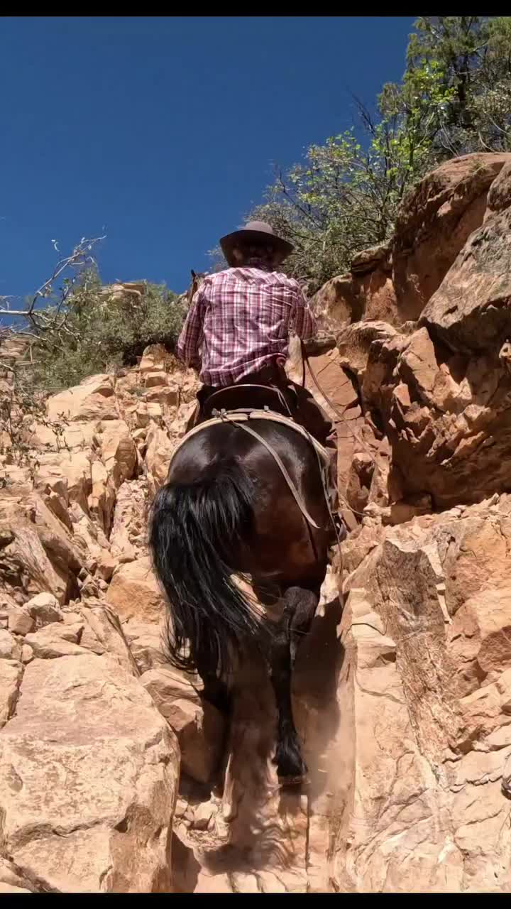 @ThunderGallops