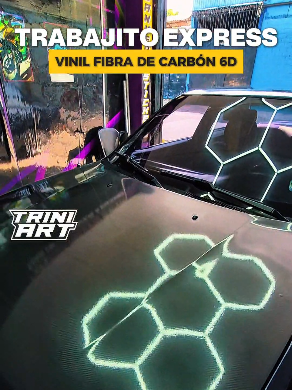 @Trini Art SV