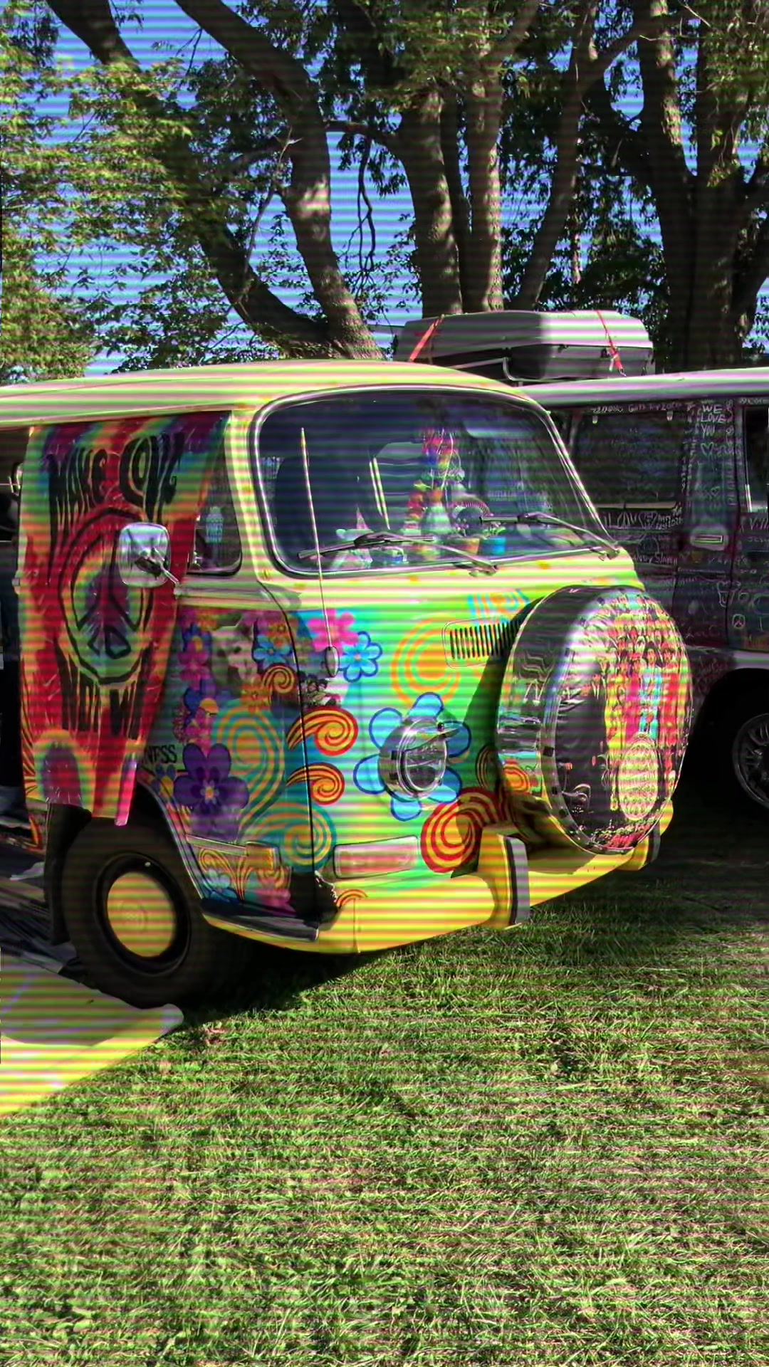 @Hippie Fest