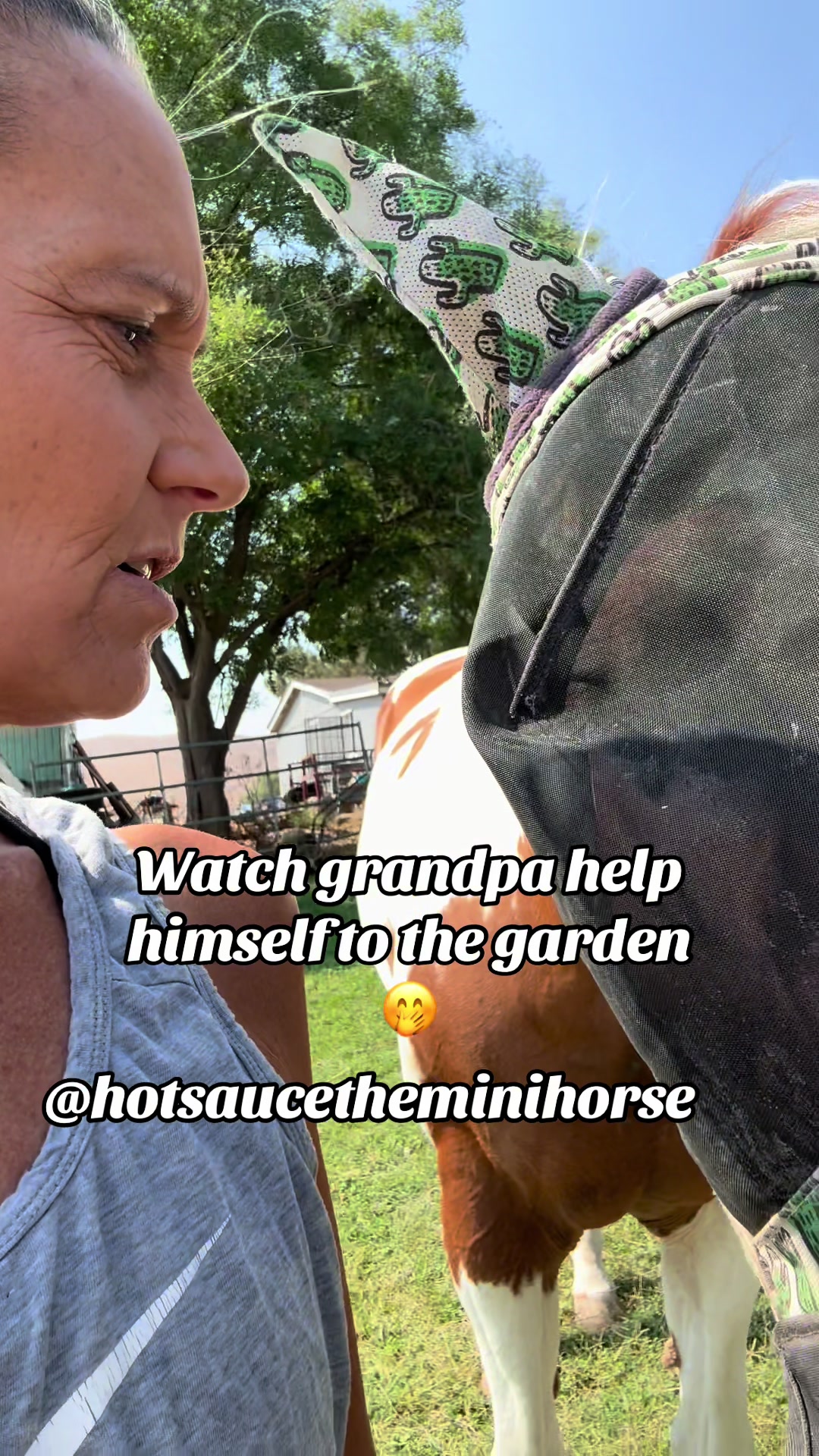 @Hot Sauce the Mini horse 🐎