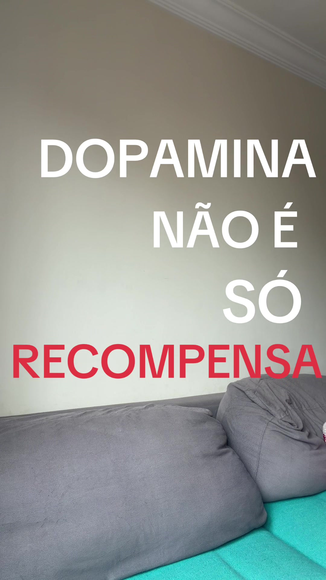 @Bruna Rodriguez
