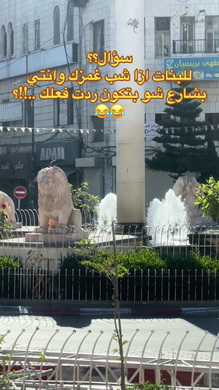 @Bahaa barakat๐ต๐ธ