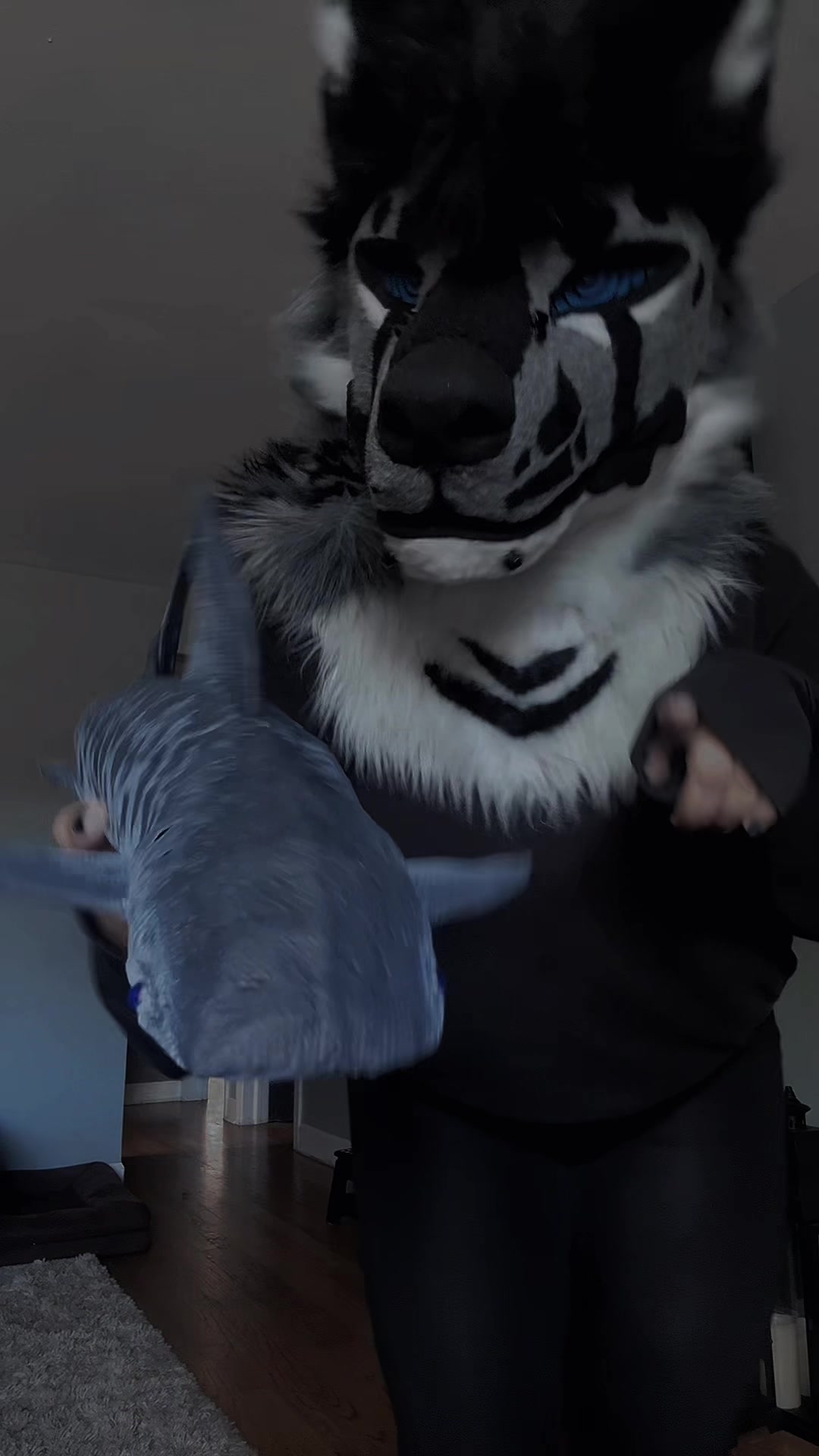 @sonar_hyena_shark
