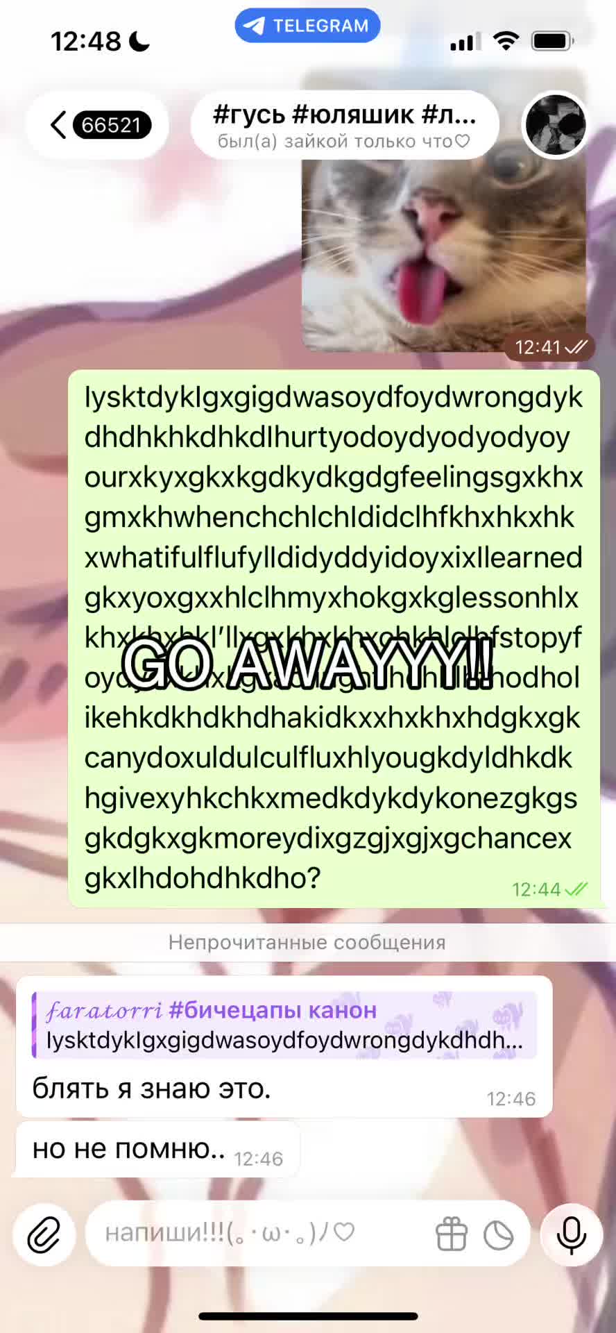 @кассиии🐈⬛