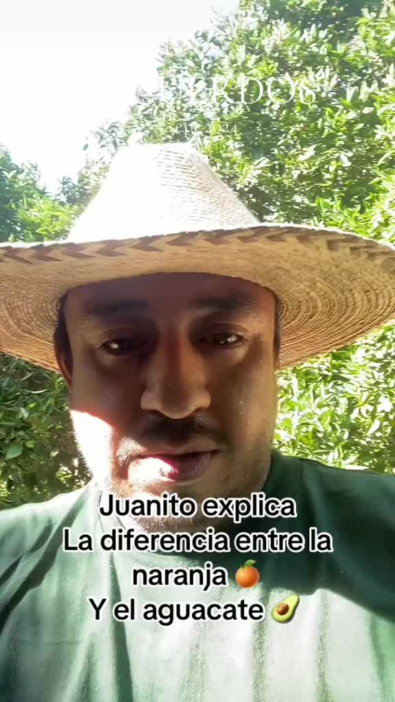 @Perro PAPAYAL