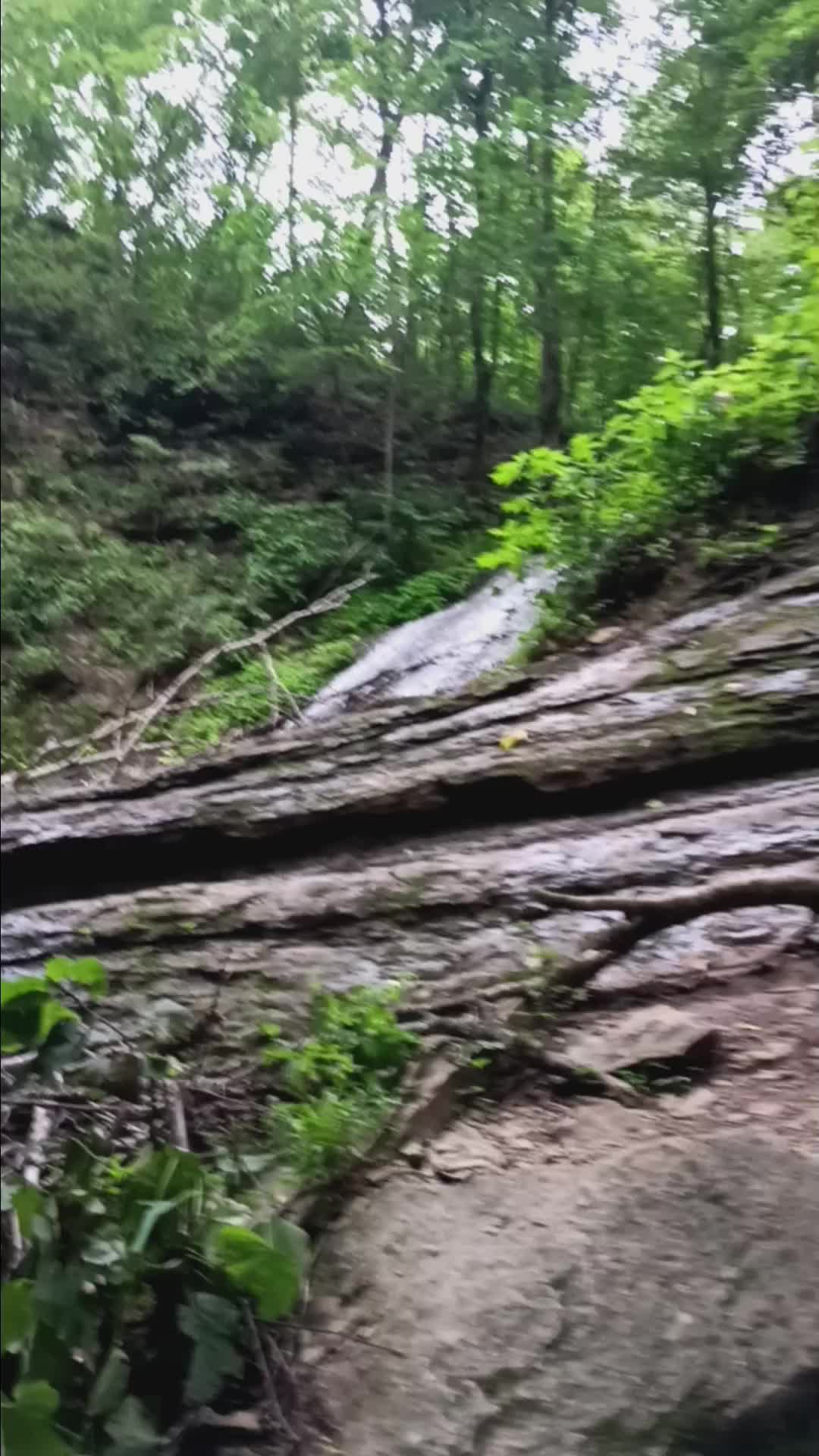 @johnnyboy86