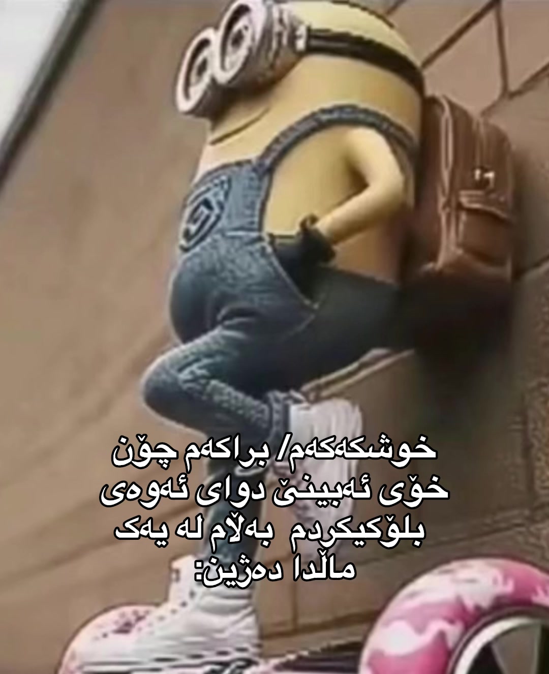 @ئایریس