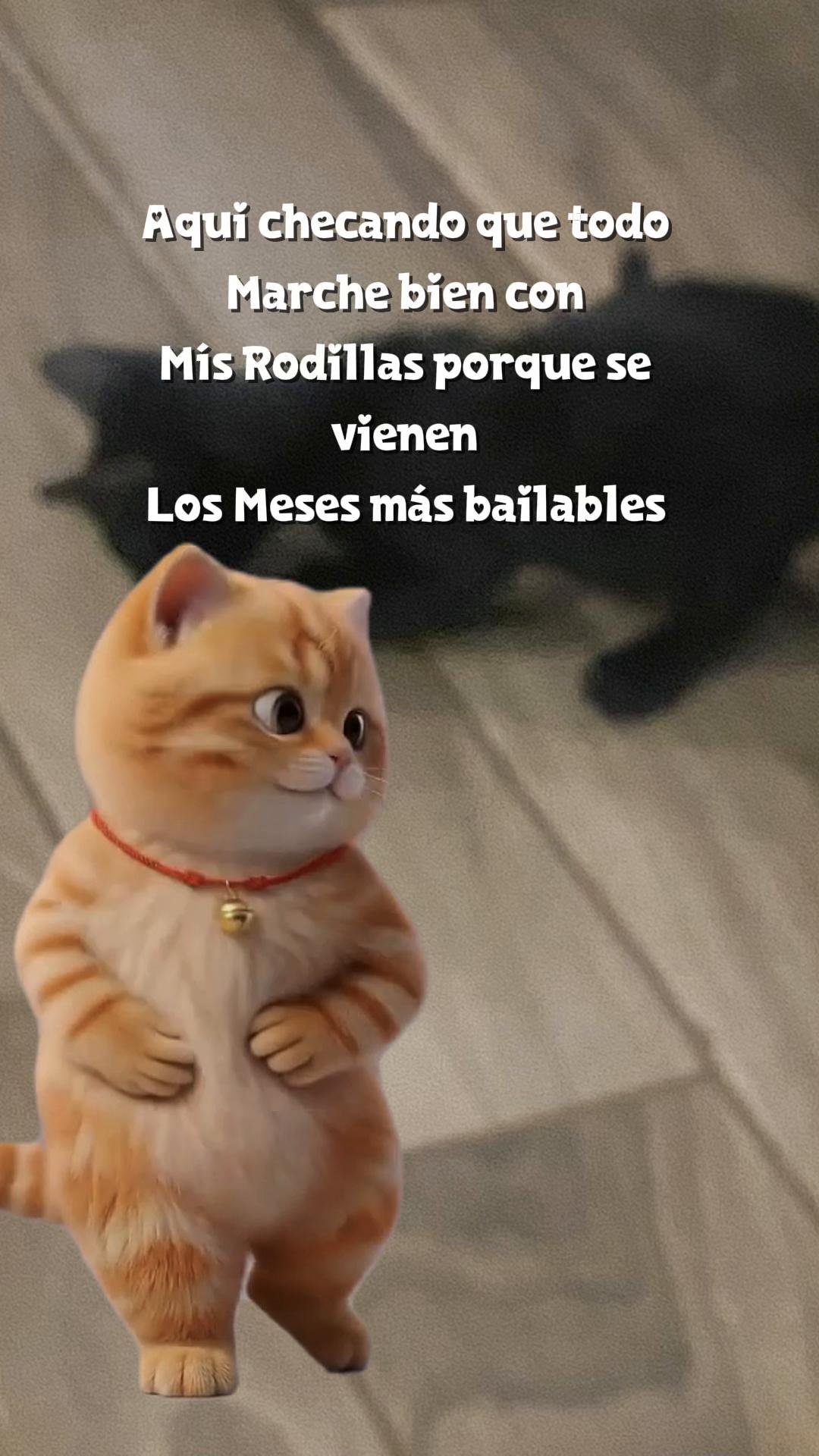 @💛Bonita_Girasol91