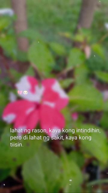 @R E A L Y N
