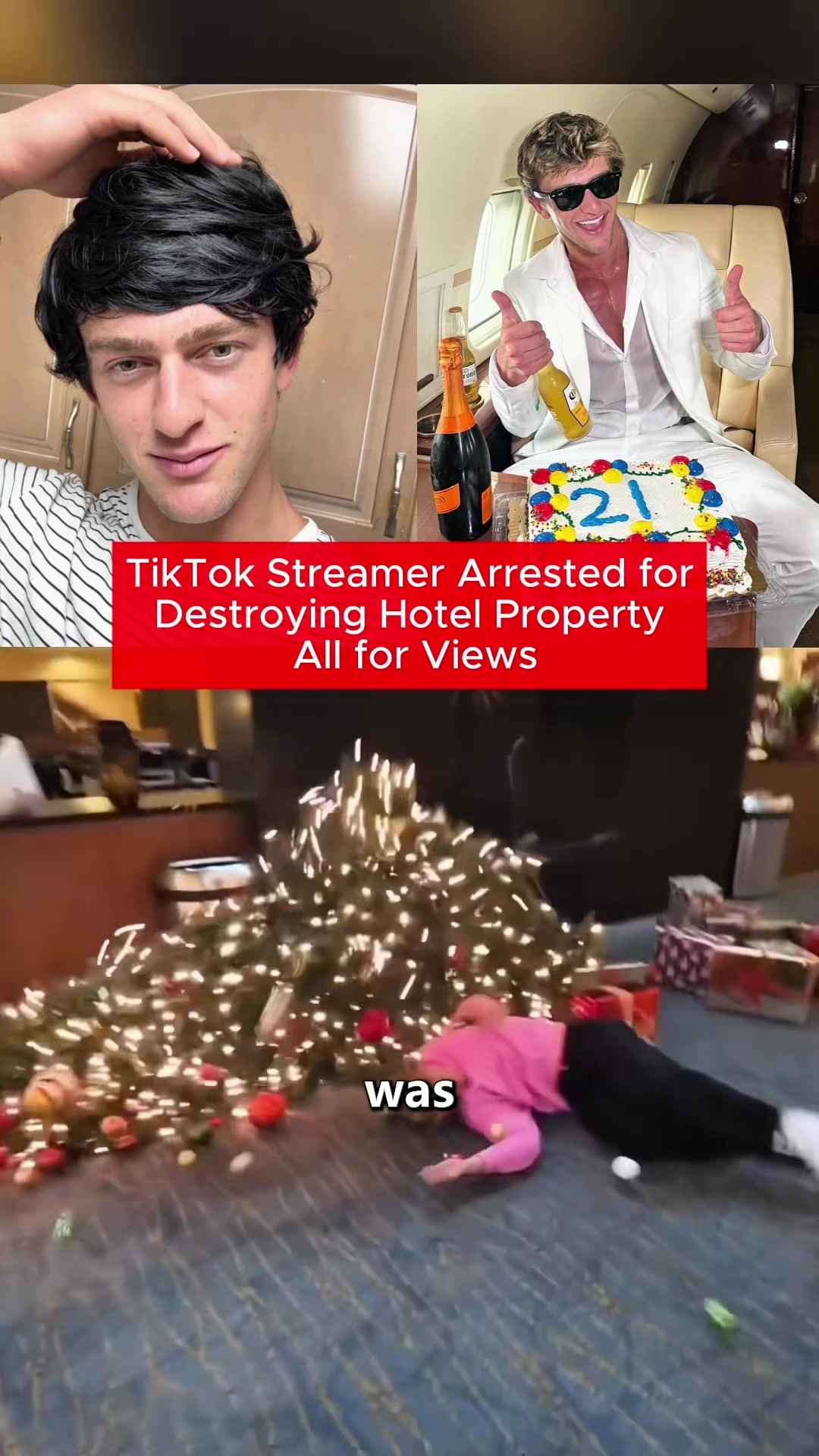 @seeytp