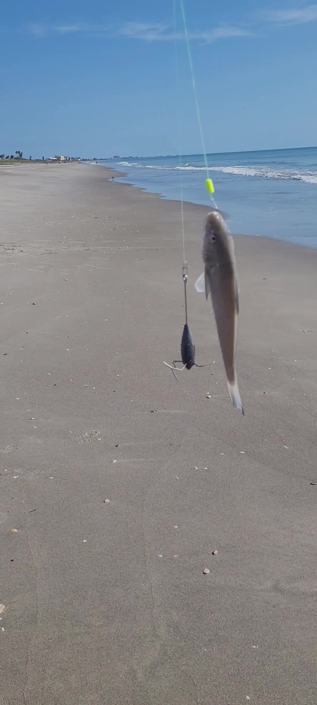 @Ghost of Space Coast Fishing