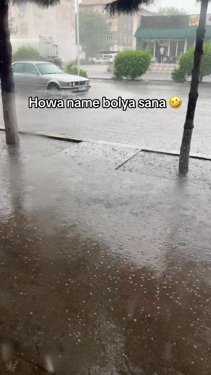 @Mayagozel