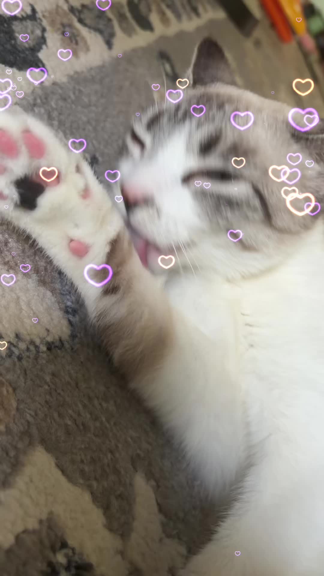 @choyqng