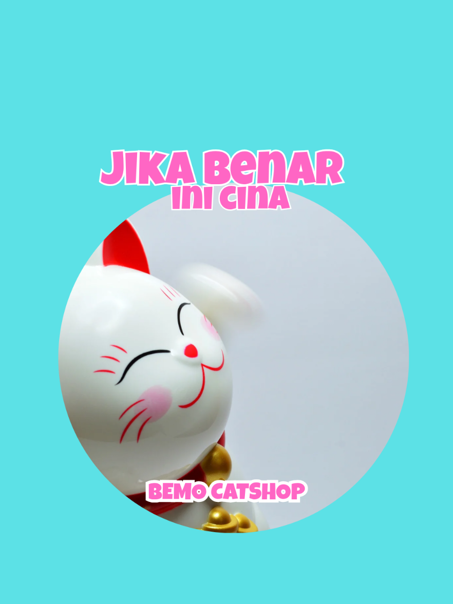 @Bemo Catshop
