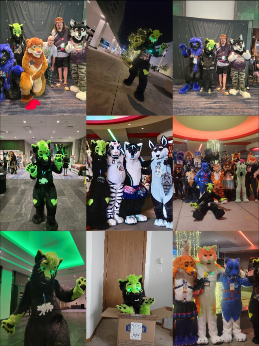 @ToxicWolfy