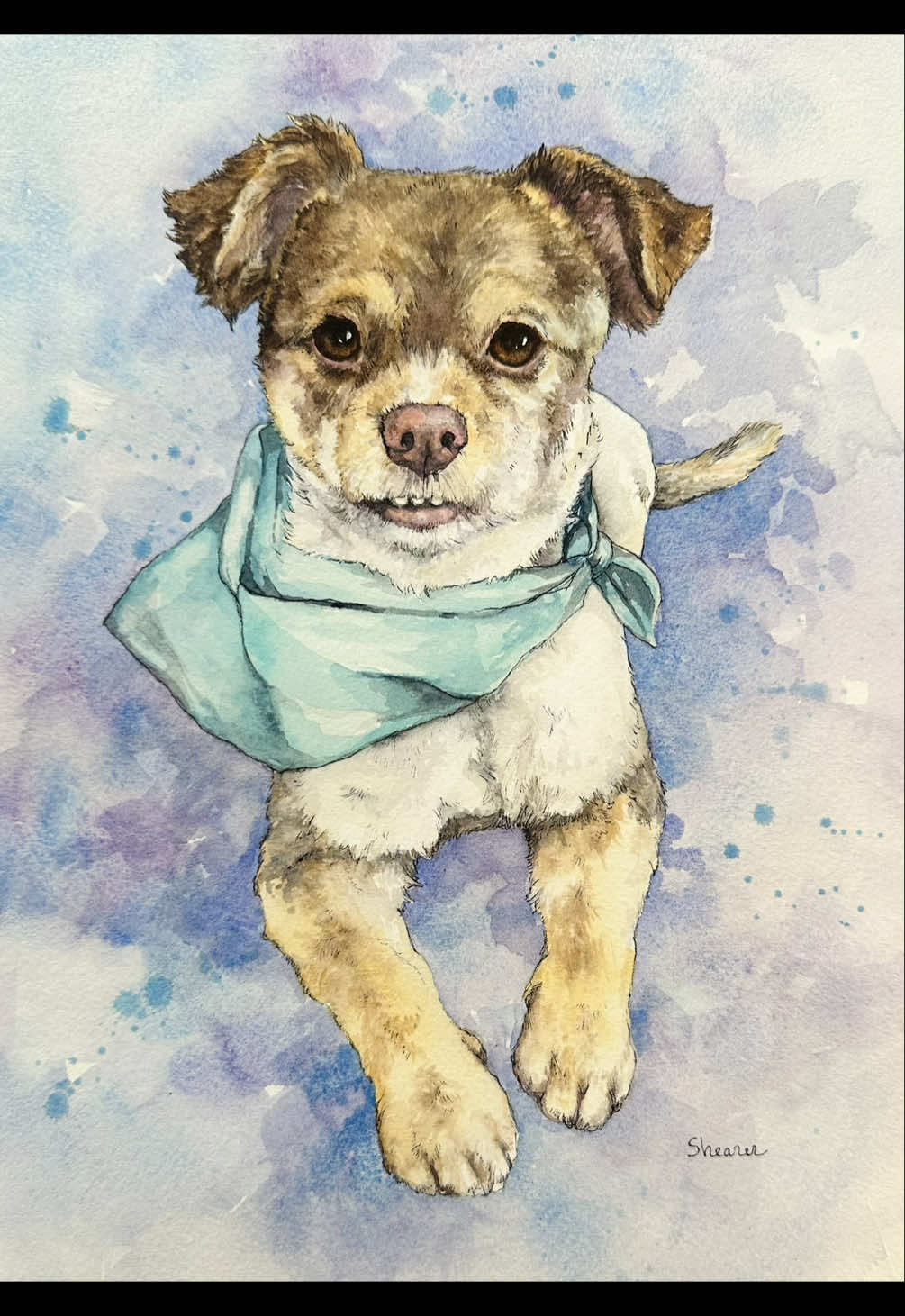 @Pet Portrait Artist