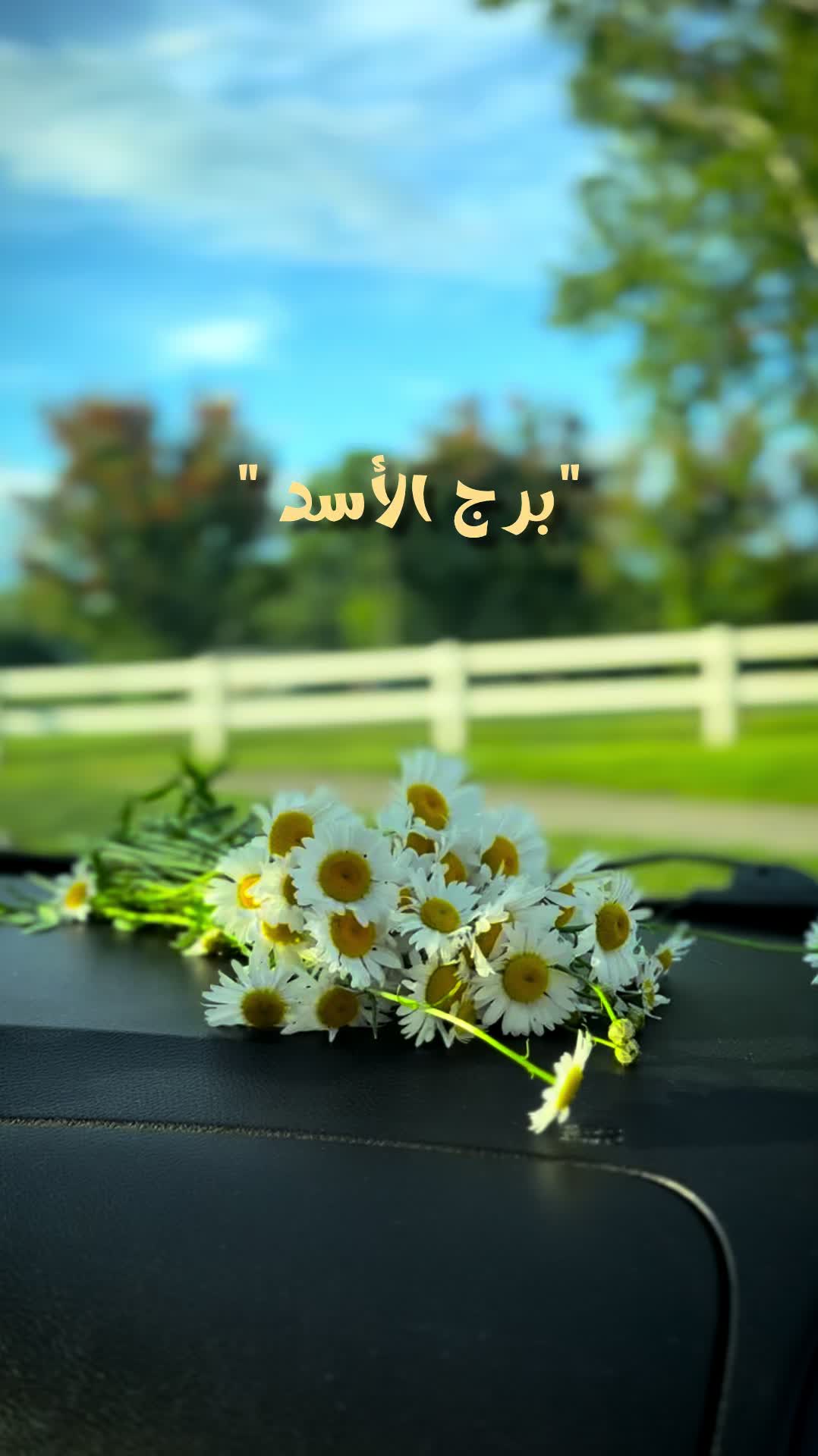 @Rayan El Ayoubi