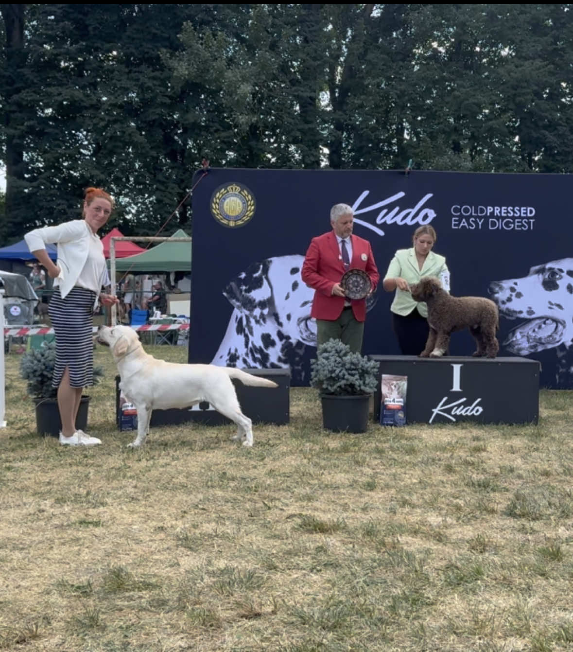 @Розплідник лабрадорів Україна