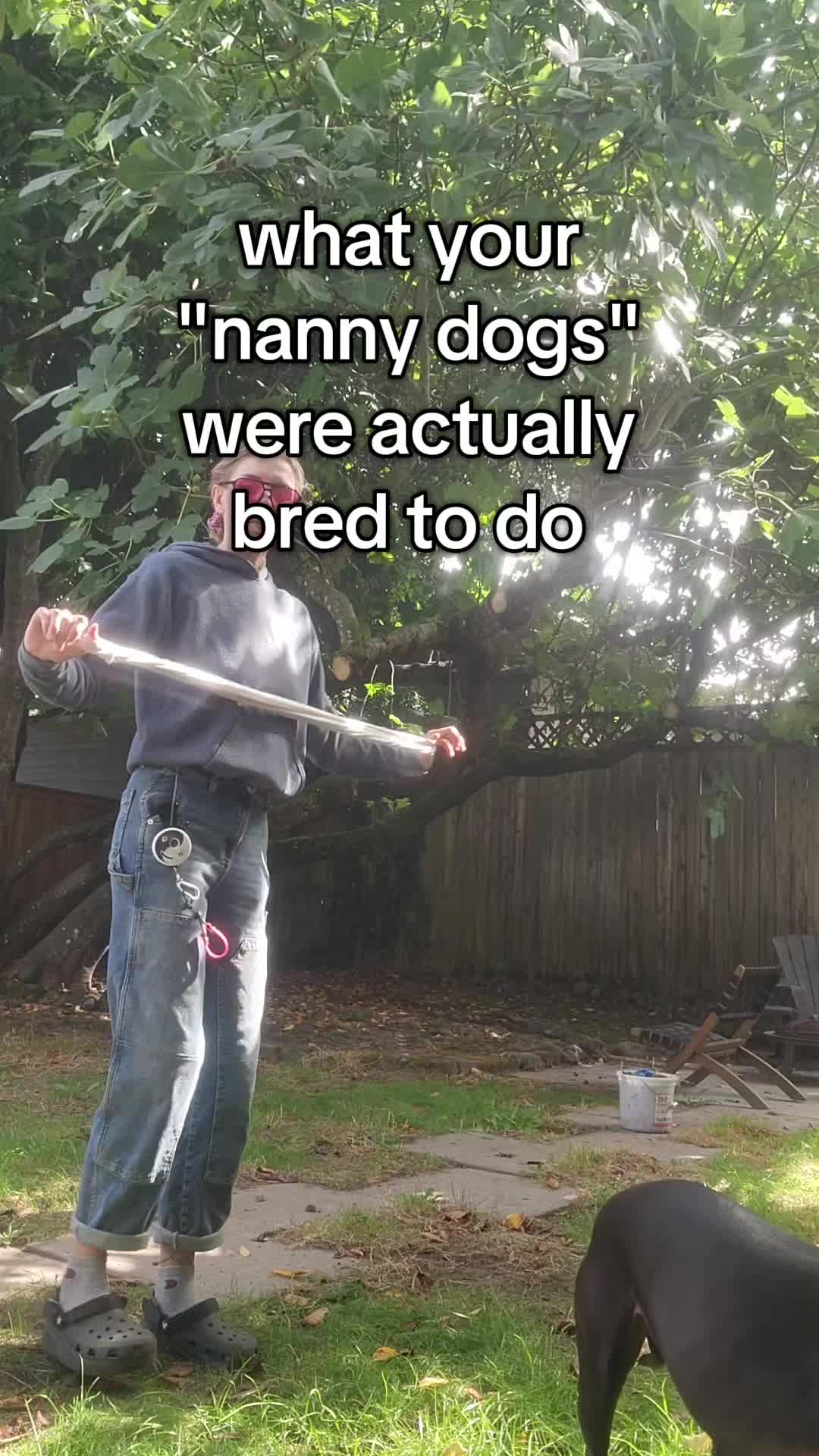 @abugstory