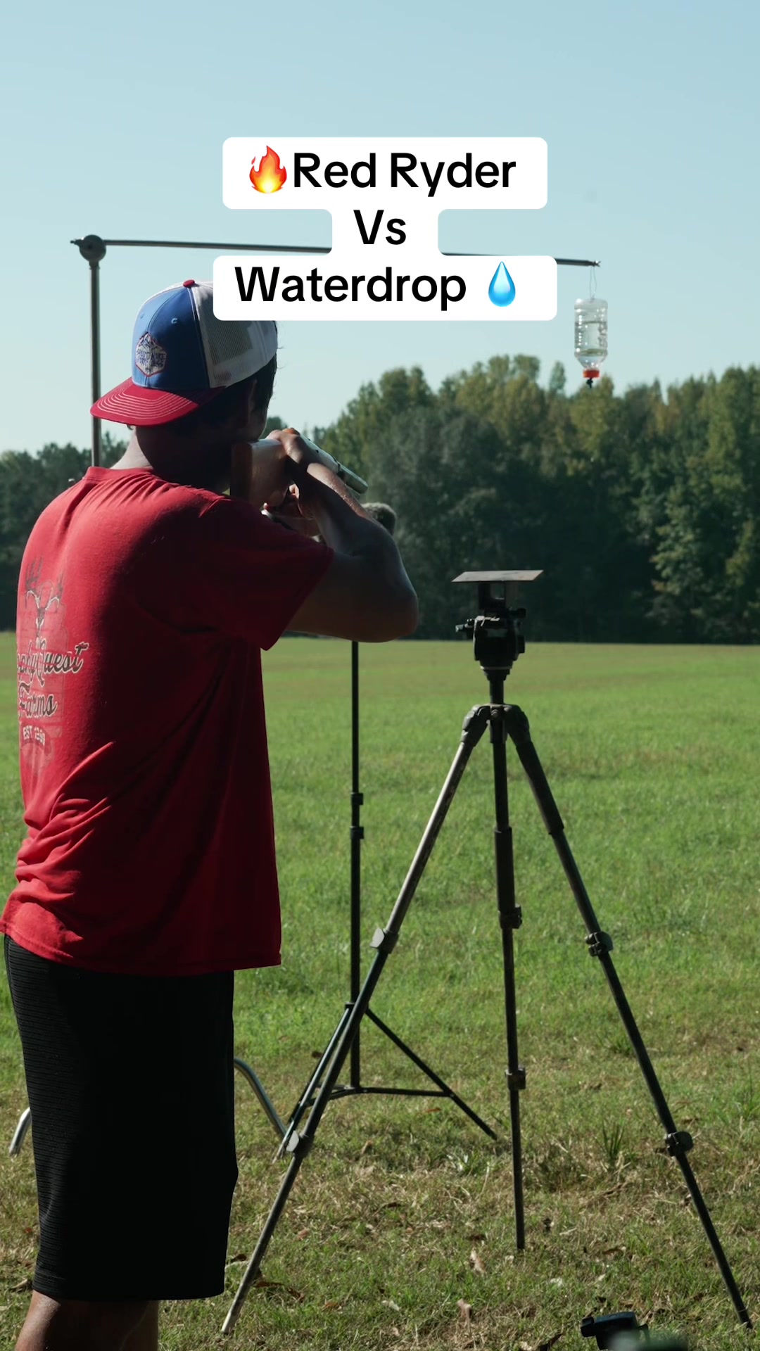 @James Jean