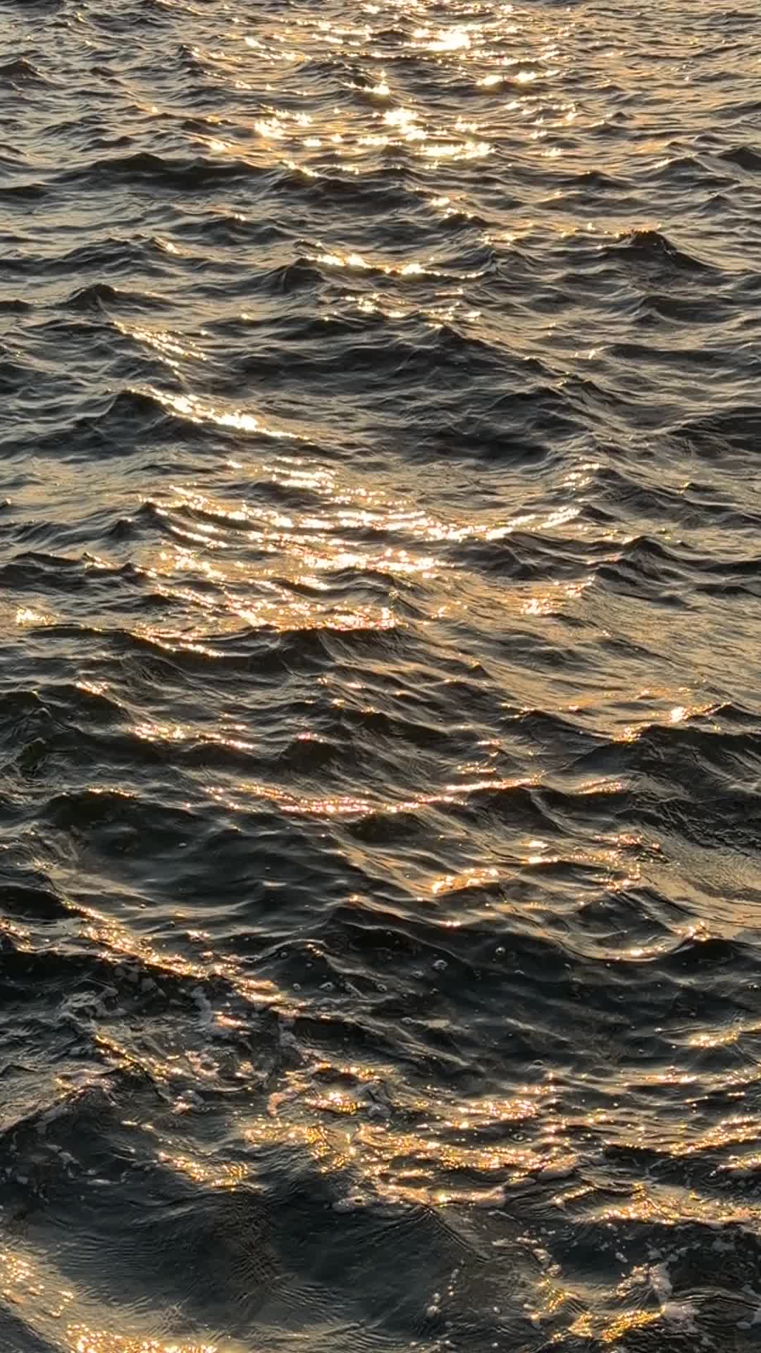 @˚ ༘⋆✿࿐ ྂ
