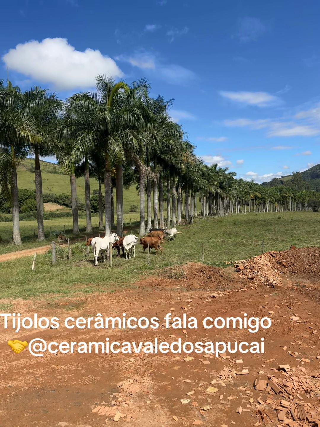 @MarcosSilverio71