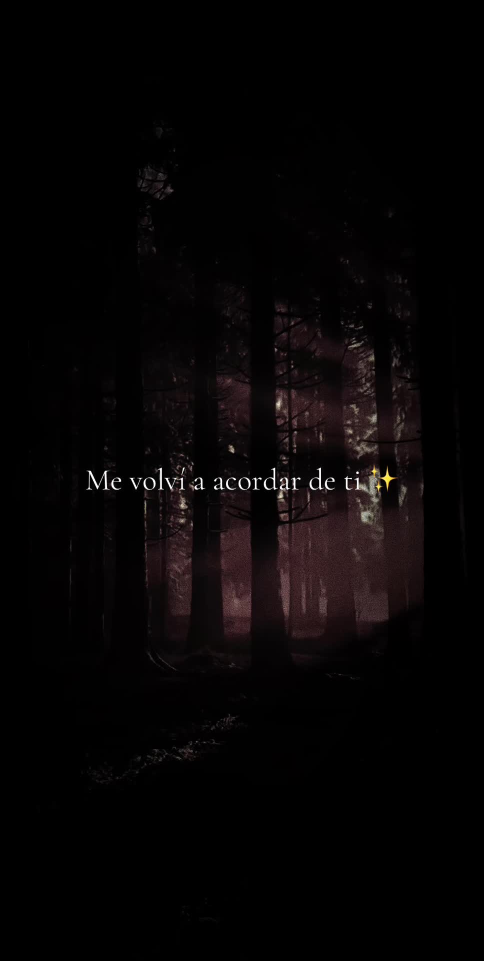 @✨️