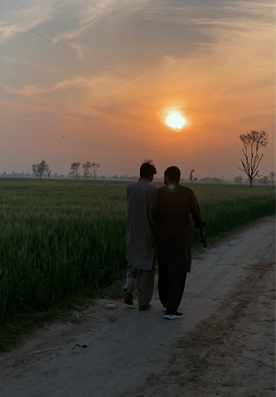 @ملک ابراھیم اعوان⚜️
