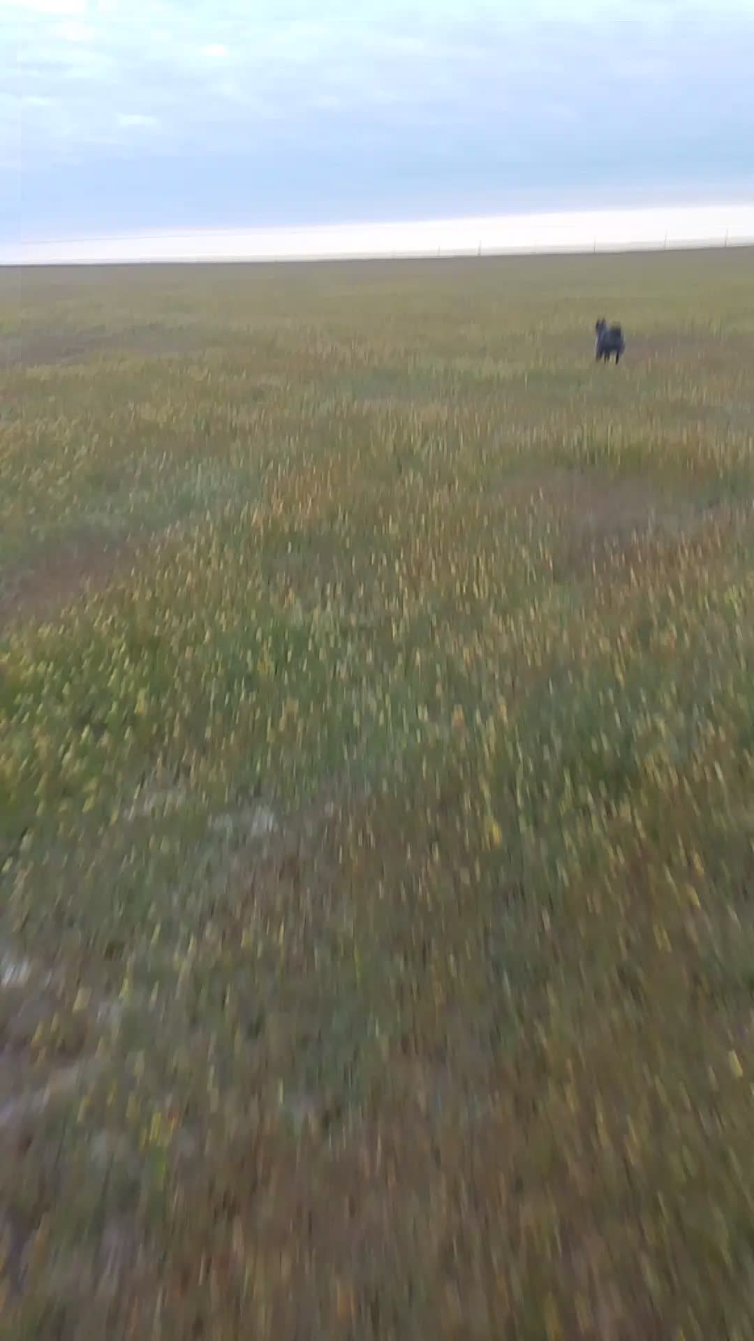 @с савр николаевич