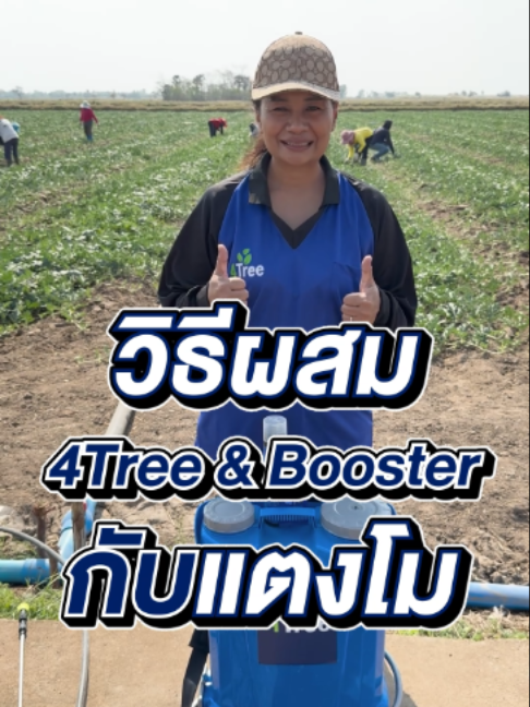 @4Tree A4S Thailand