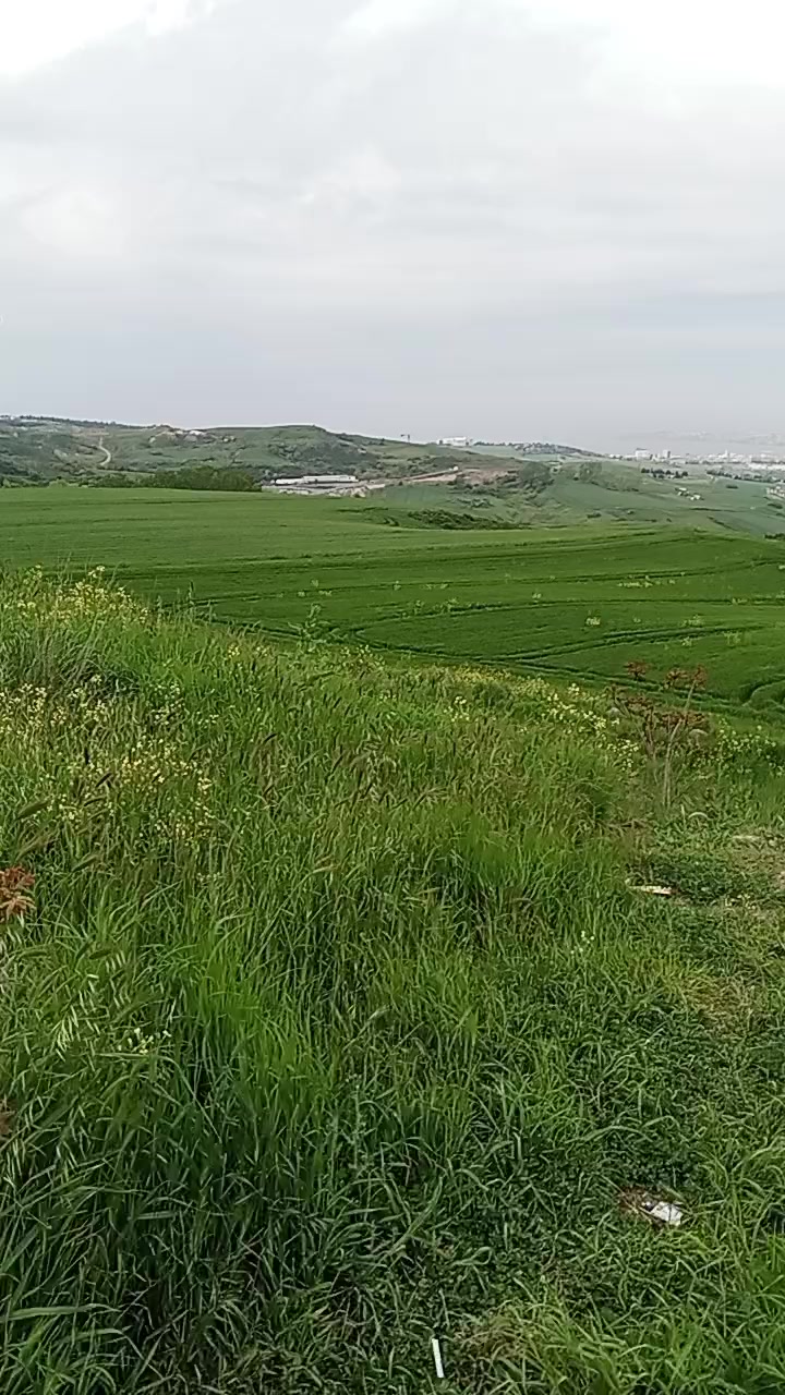 @Ercan ordulu
