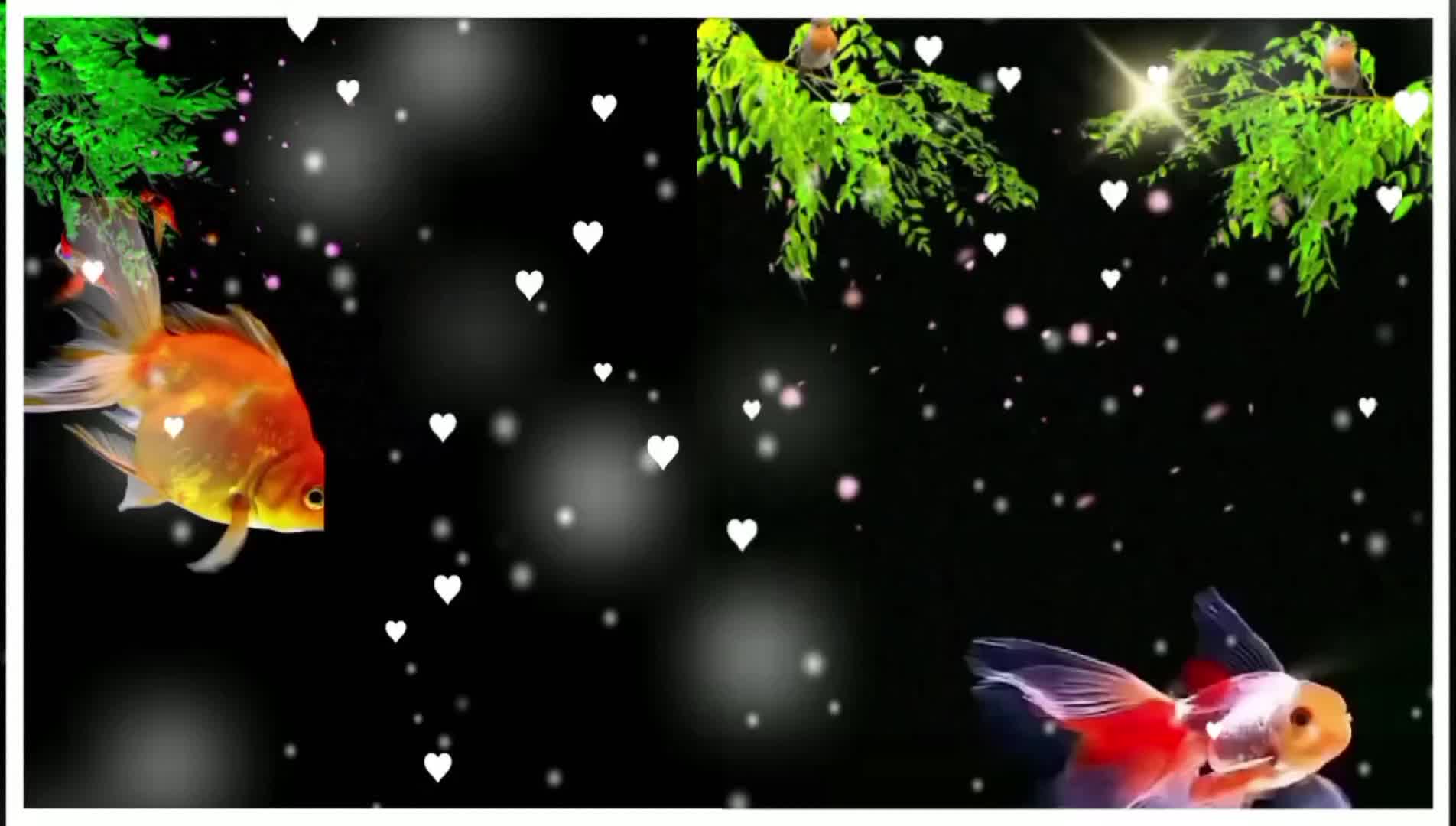 @পিচ্চি পুড়ী