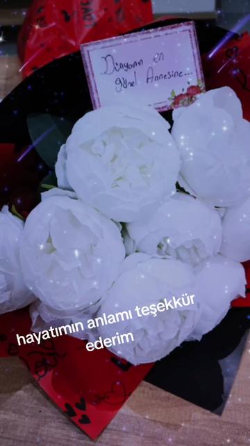 @❤️SİBELHAYEL❤️