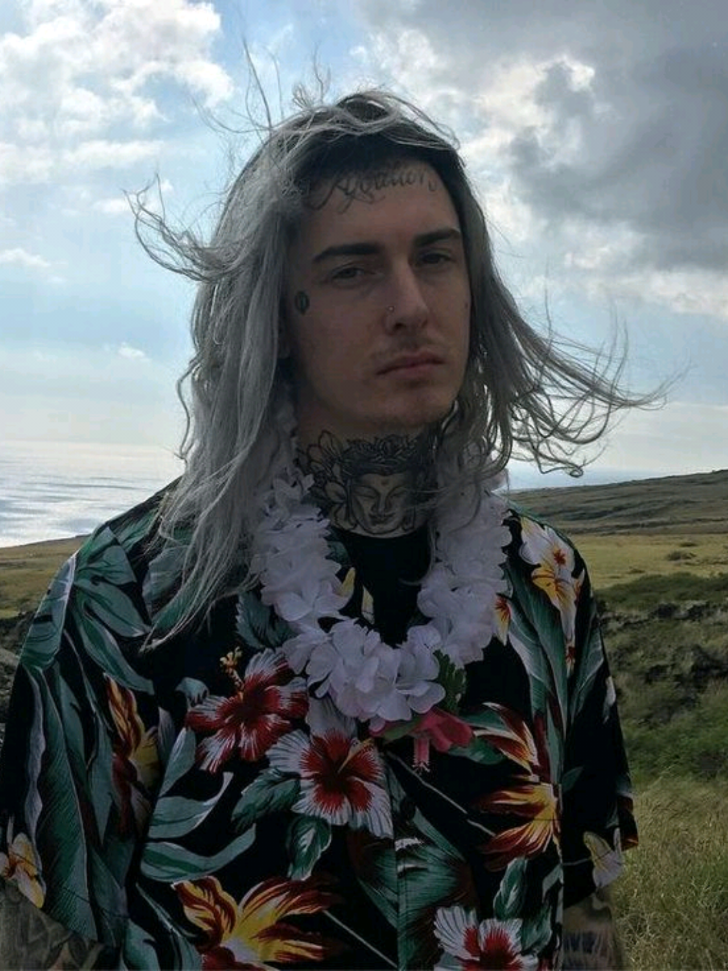 @jhonatanwhitney