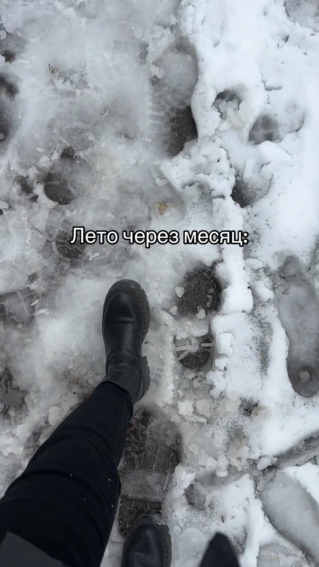 @ТГ Ирина в сети 🐀
