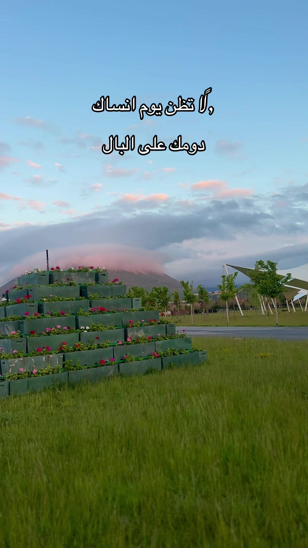 @Muhammedً