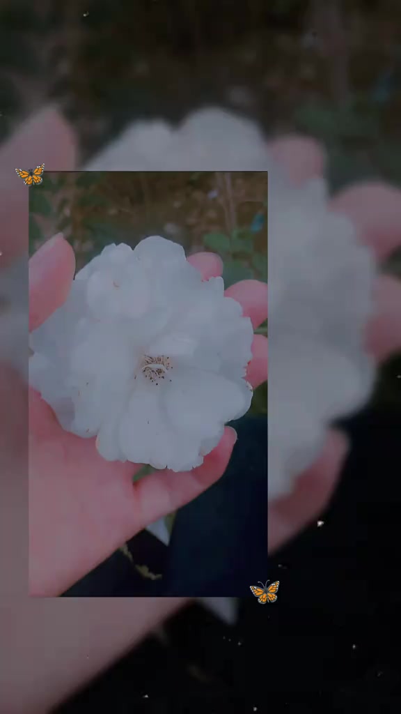 @سوہان