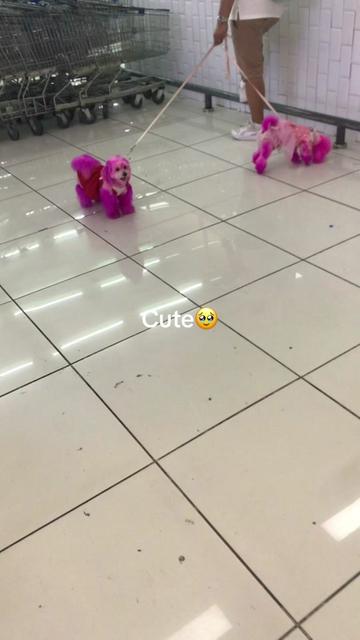 @Mae