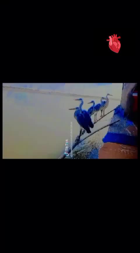 @𝑺𝑯𝑨𝑵𝑼 𝑴𝑨𝒁𝑨𝑹𝑰🕊️
