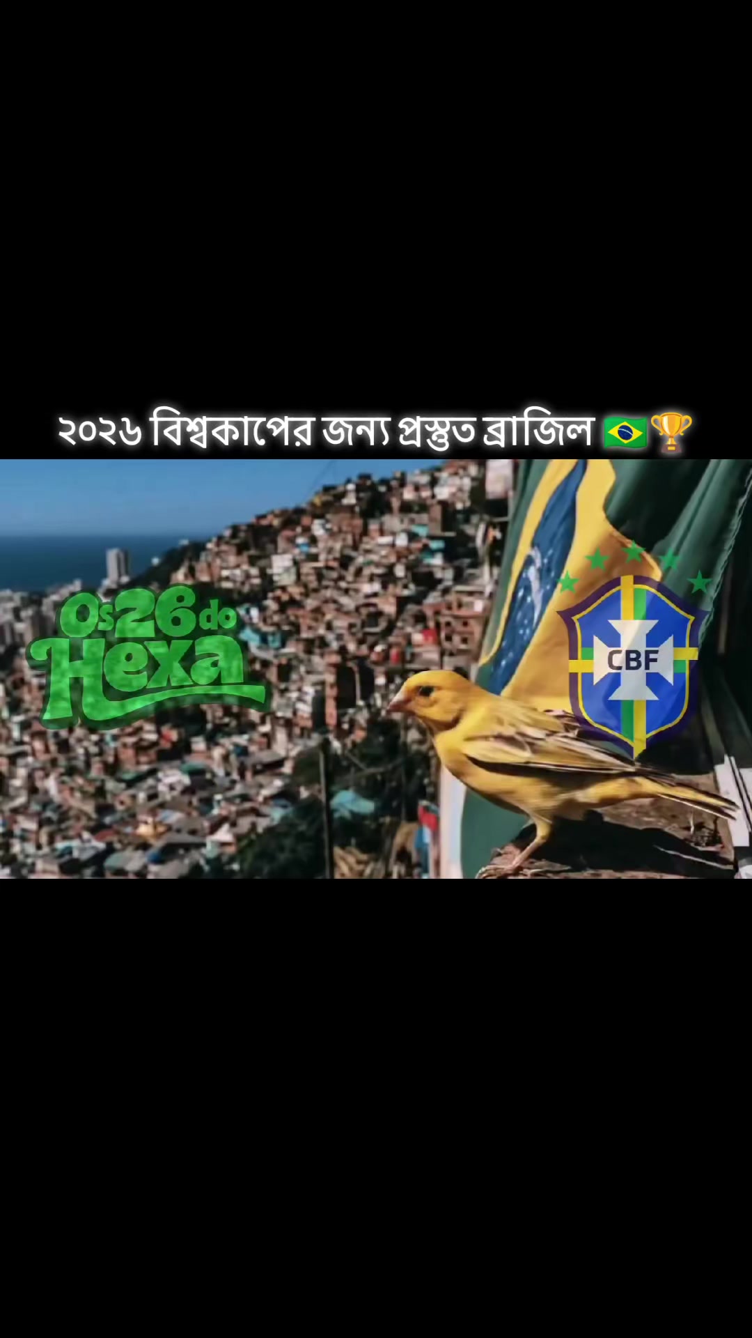 @🇧🇷 Brazil Lover 🇧🇷