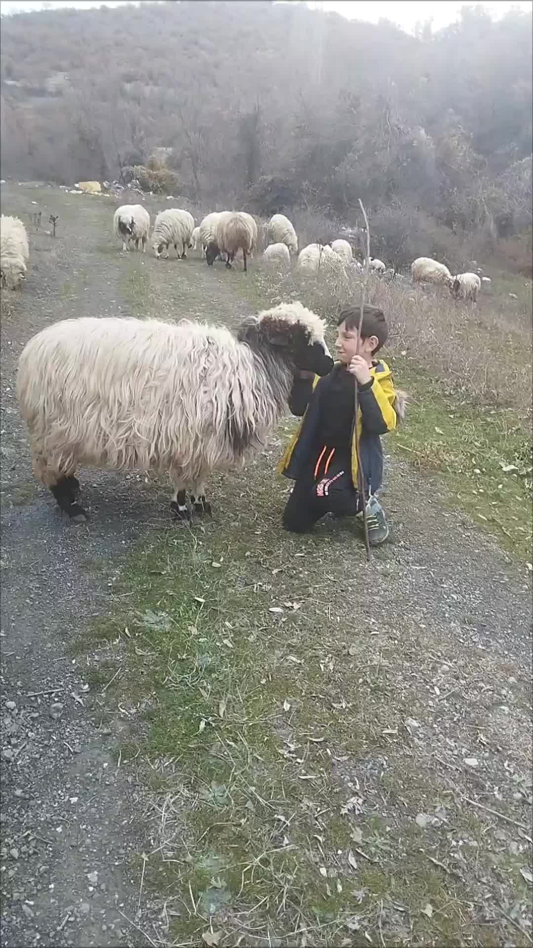 @Erkut Polat