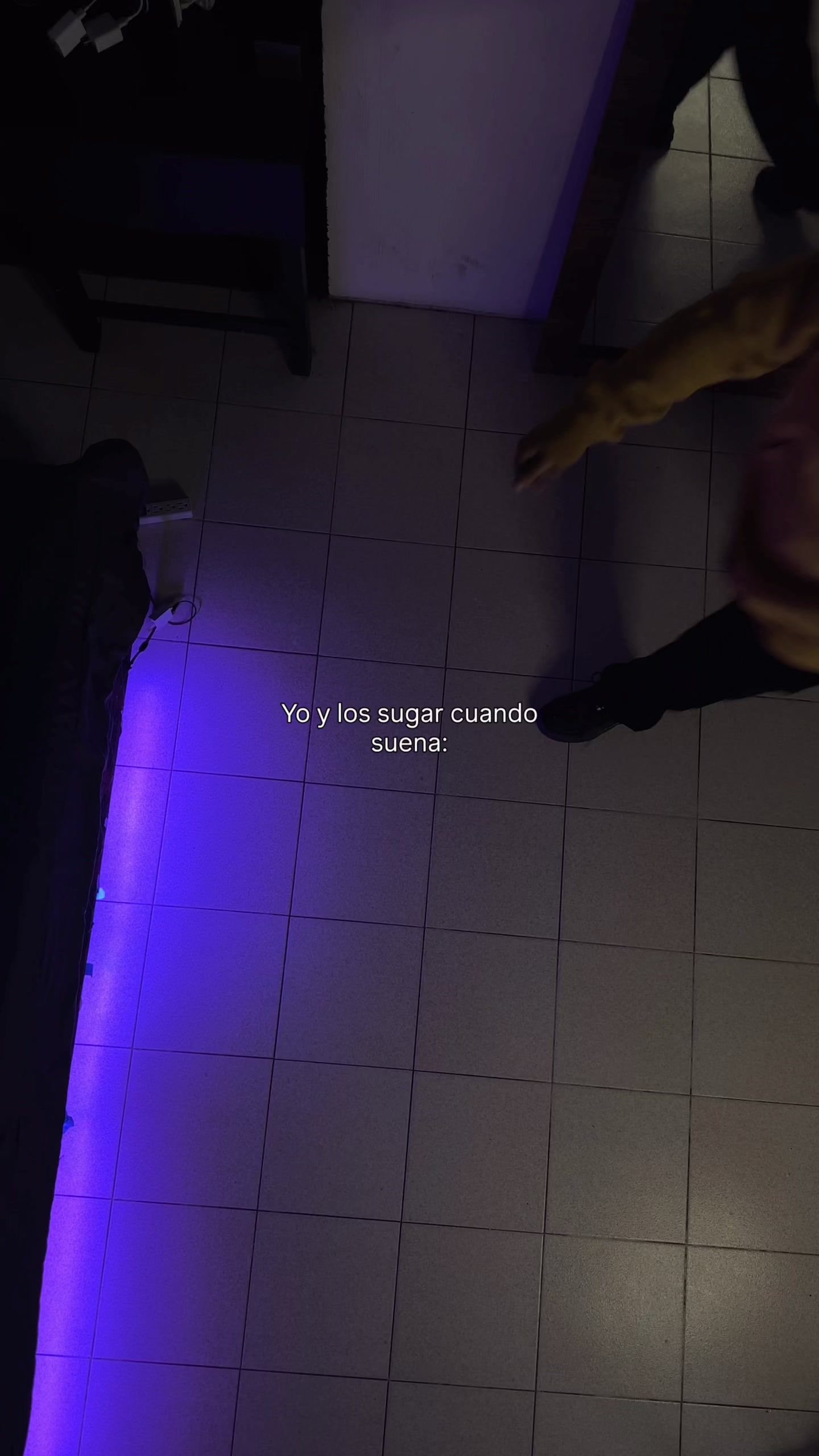@Dzebb Sound