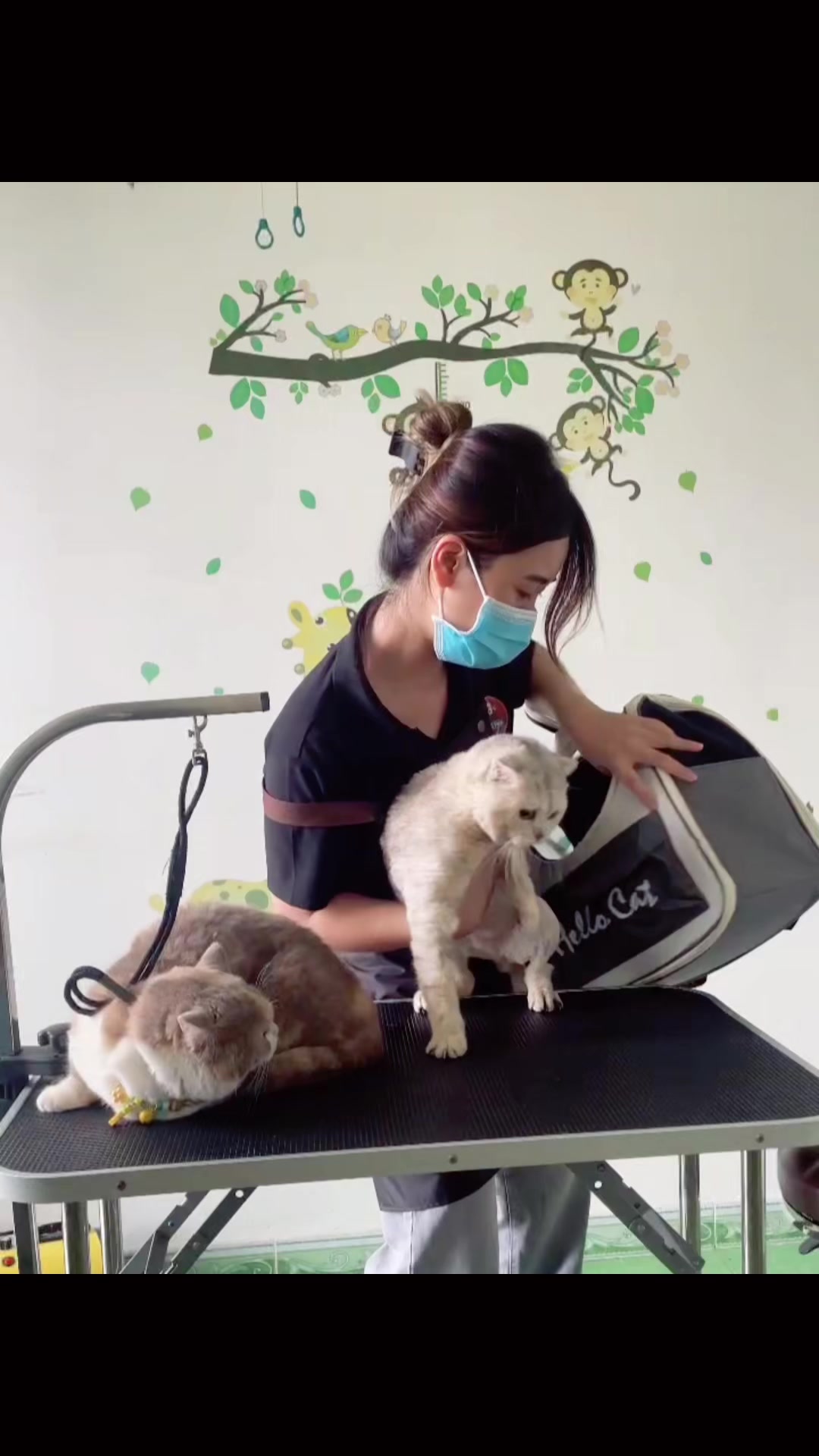 @TiTi Pet