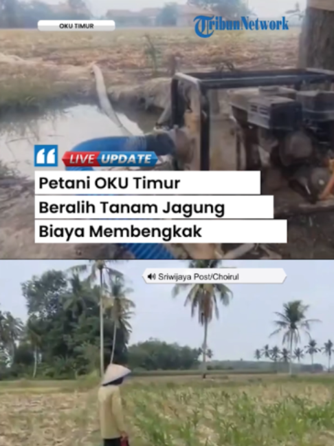 @Tribunnews