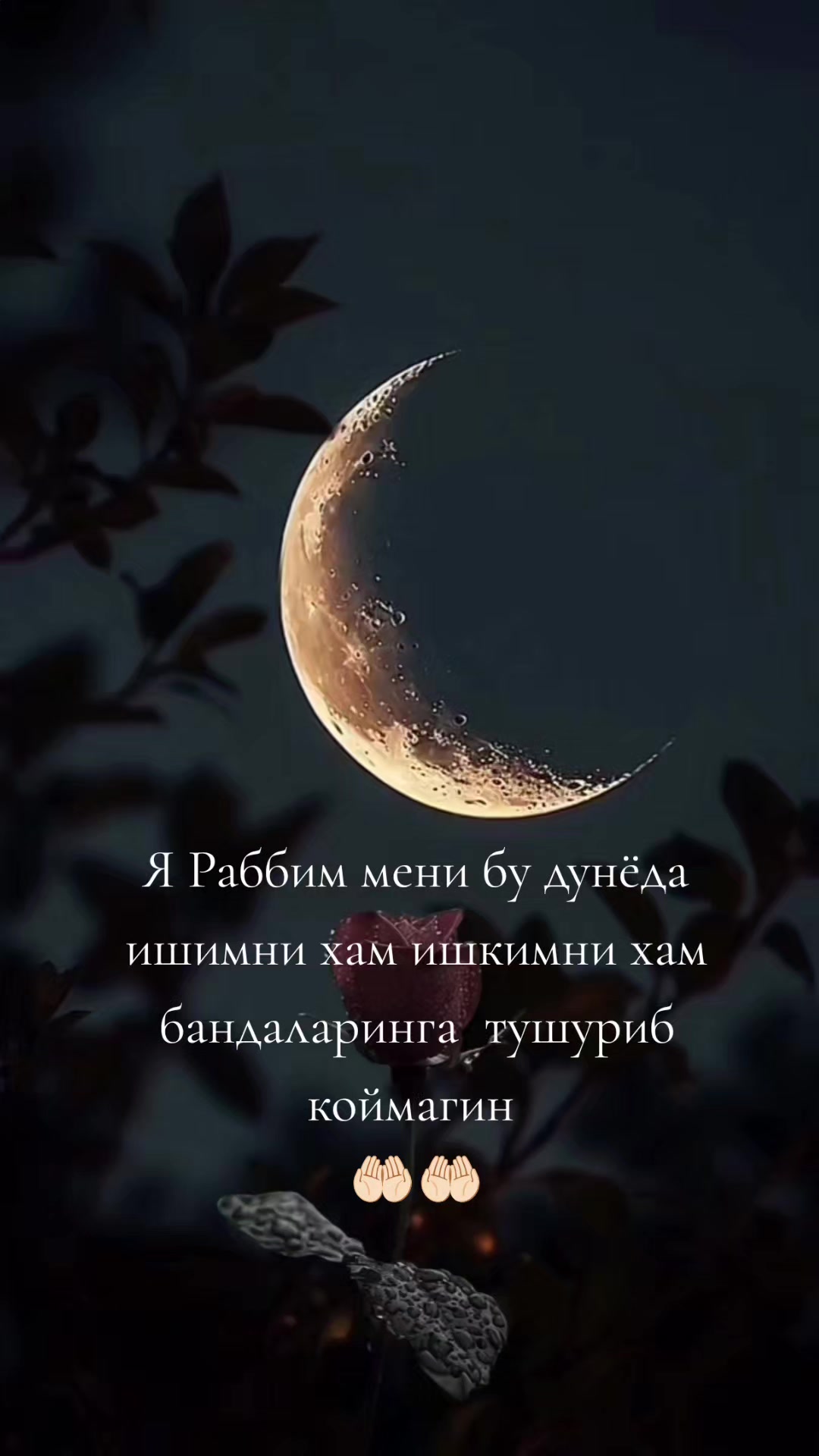 @𝔹.𝕖.𝕘.𝕦.𝕓.𝕠.𝕣