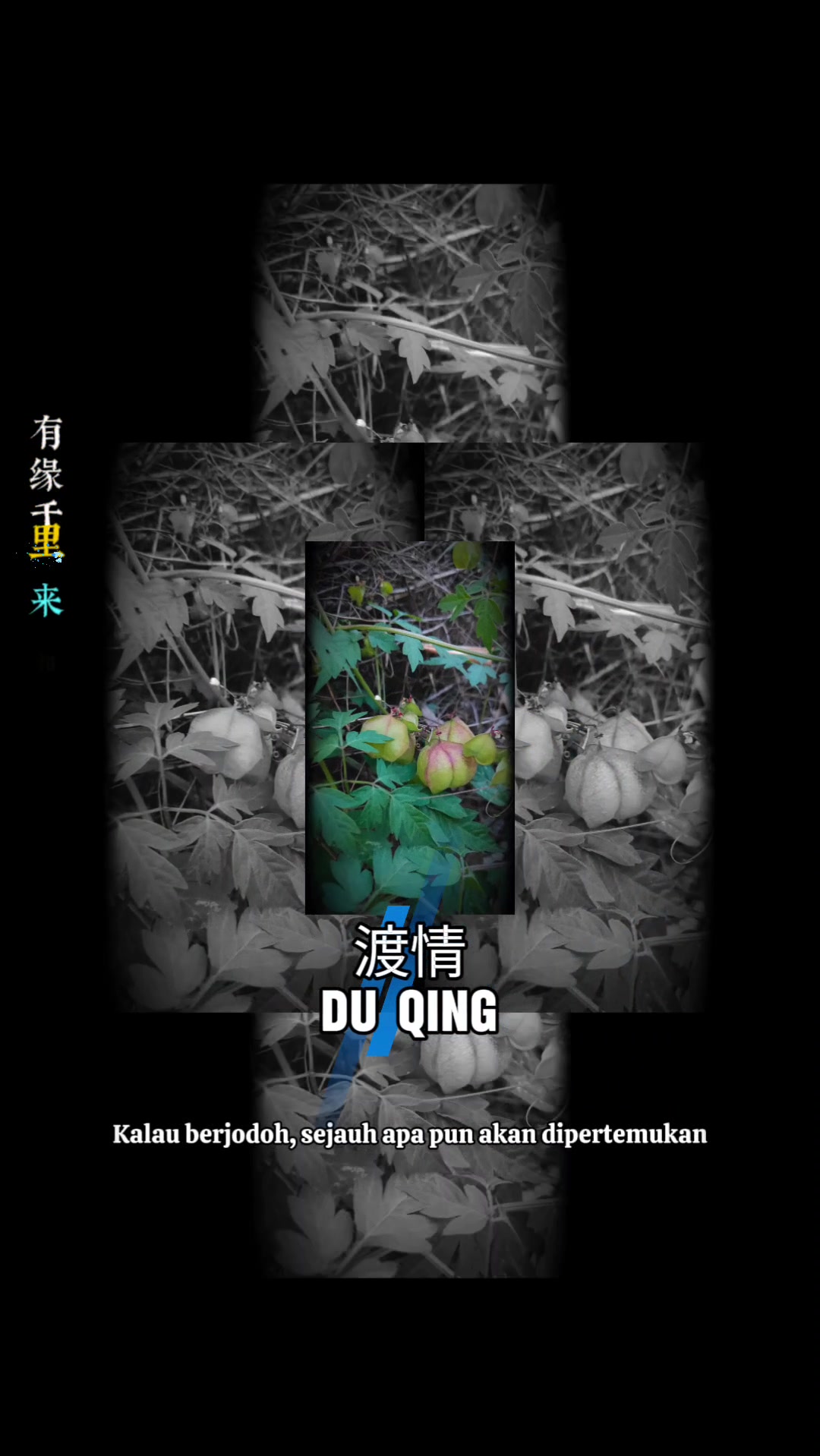 @宇_W E N