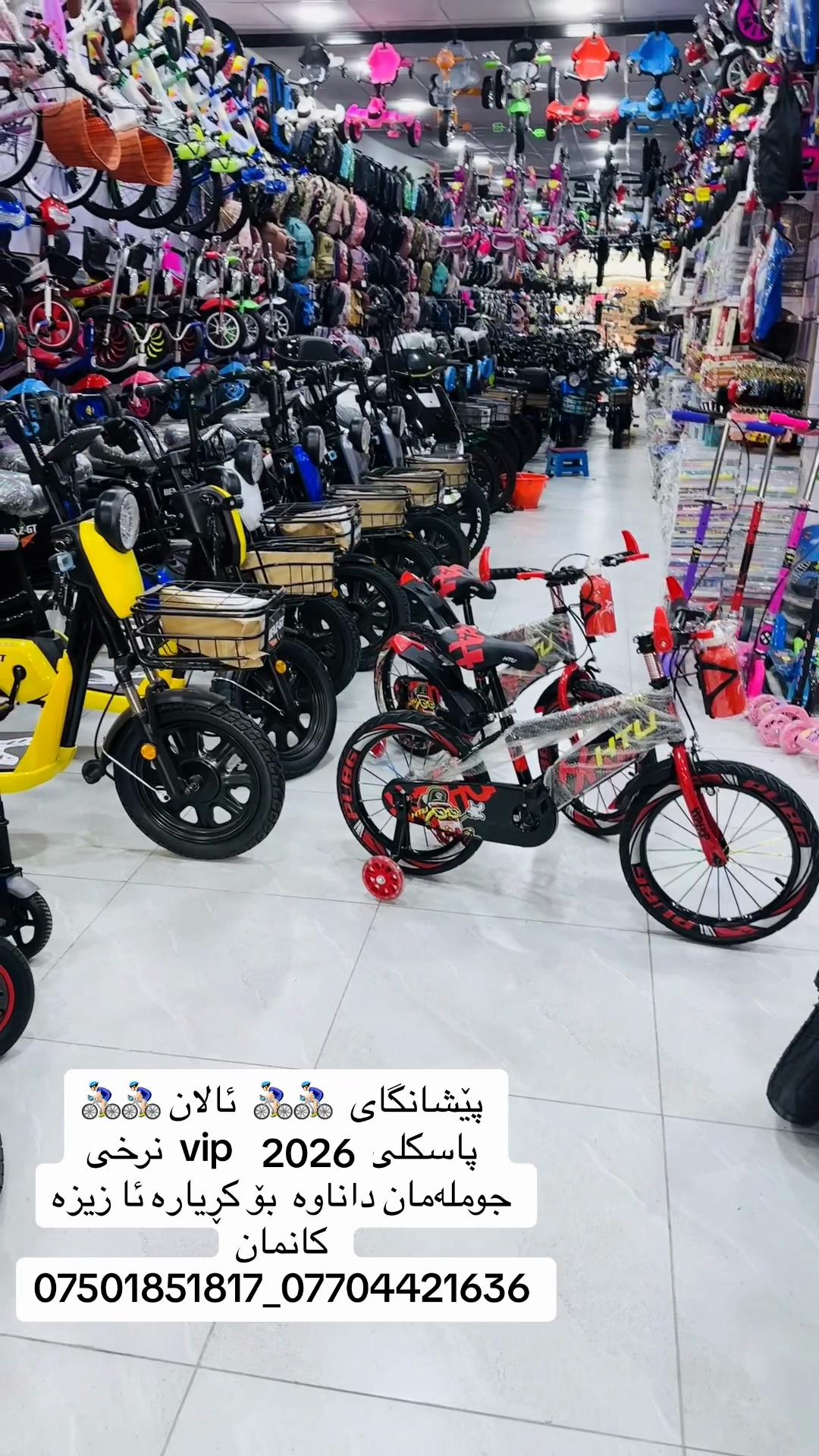 @🚴🏻&zwj;♂️ پاسکیلی ئالان