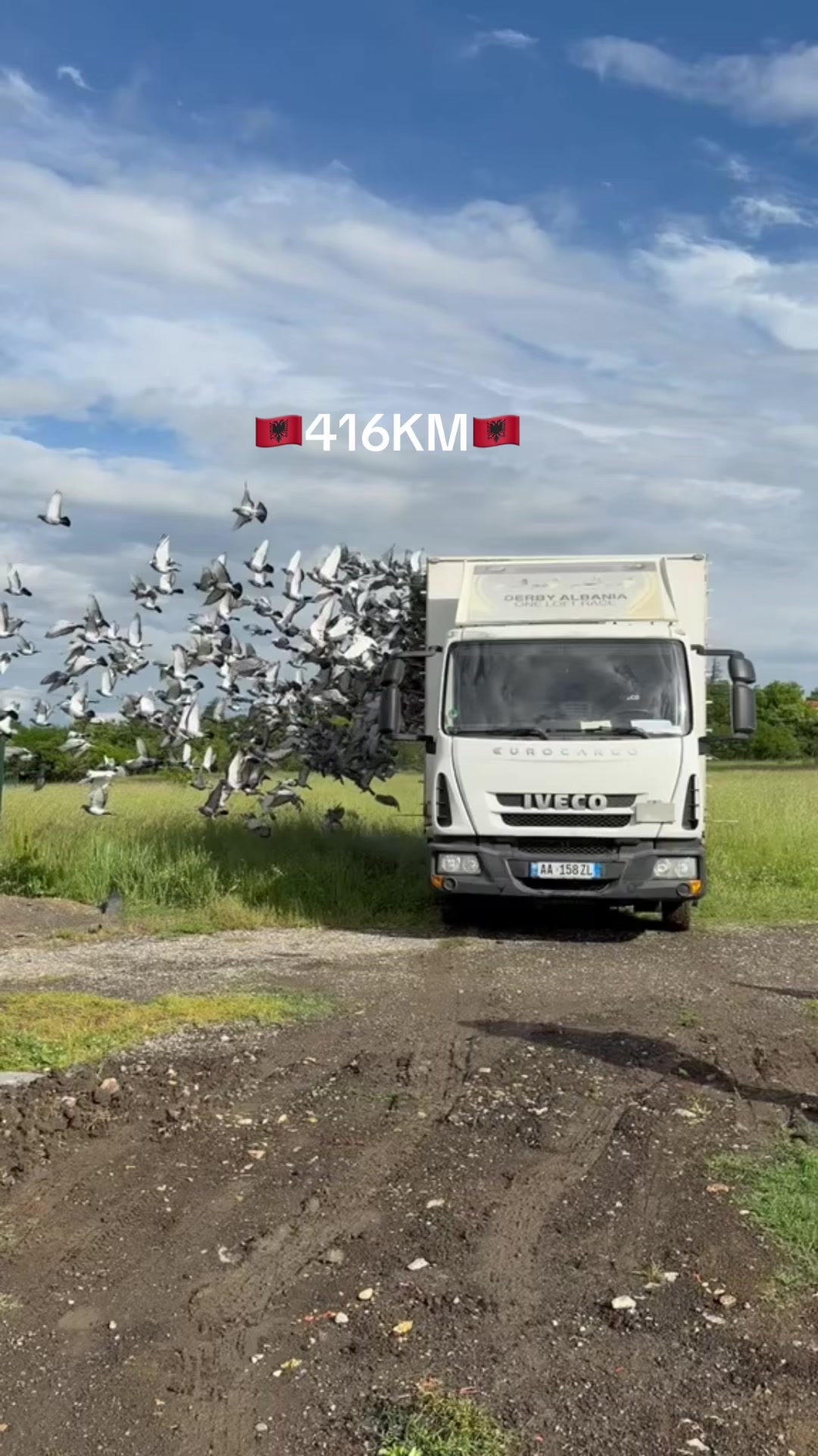 @Unic Pigeons ๐๏ธ๐๏ธ