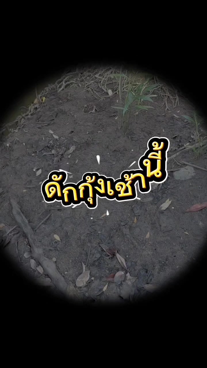 @โตโต้Shadow🎣