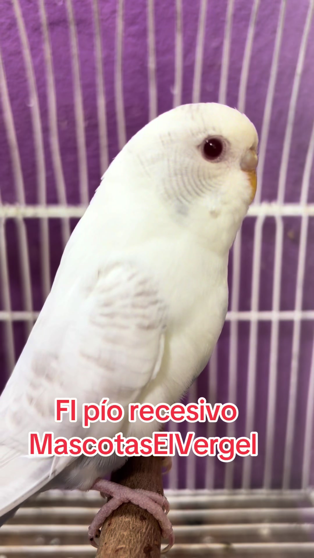 @Saul Briones